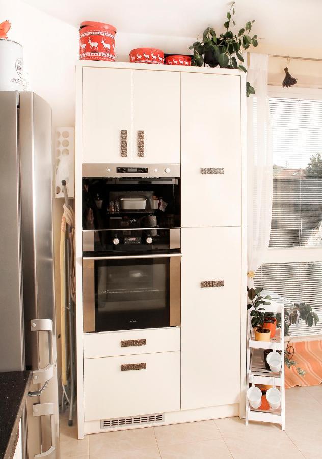 2-Izbovy Apartman Mlynica S Balkonom Ngoại thất bức ảnh